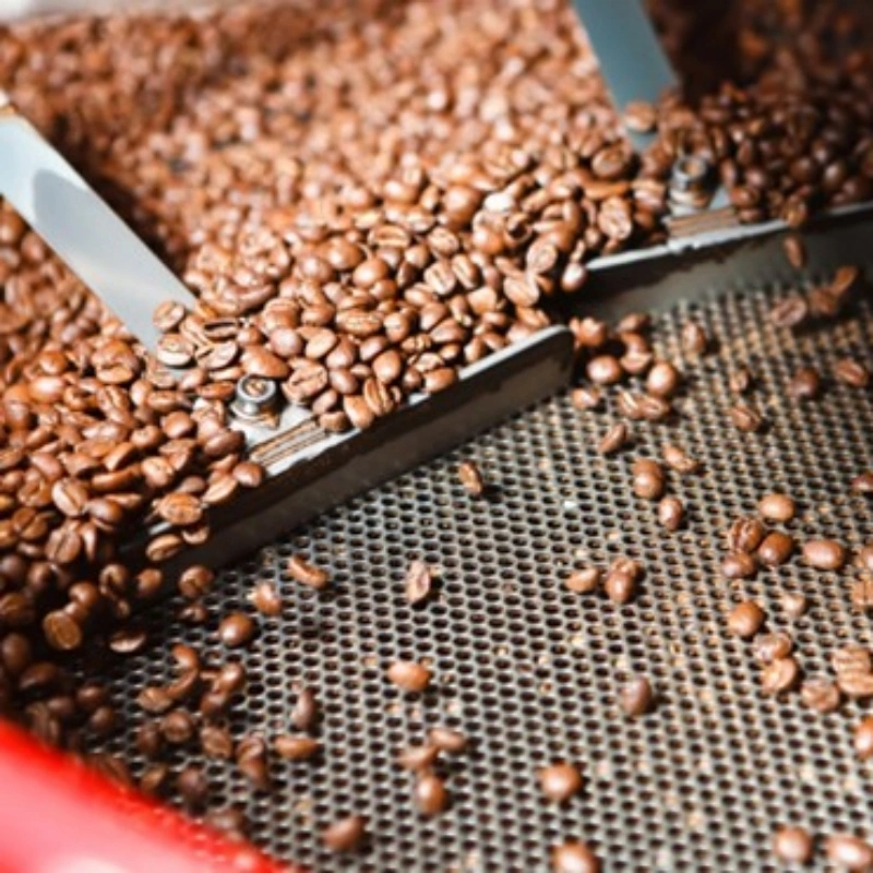 Coffee bean size grading sieves